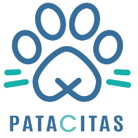 Patacitas